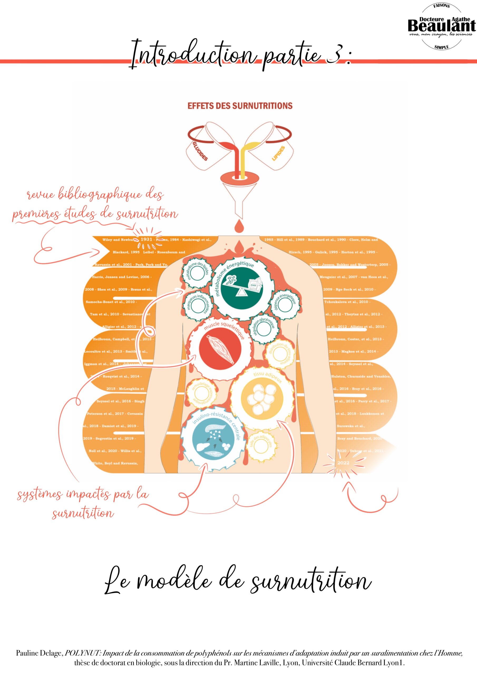 Introduction partie 3 : La surnutrition