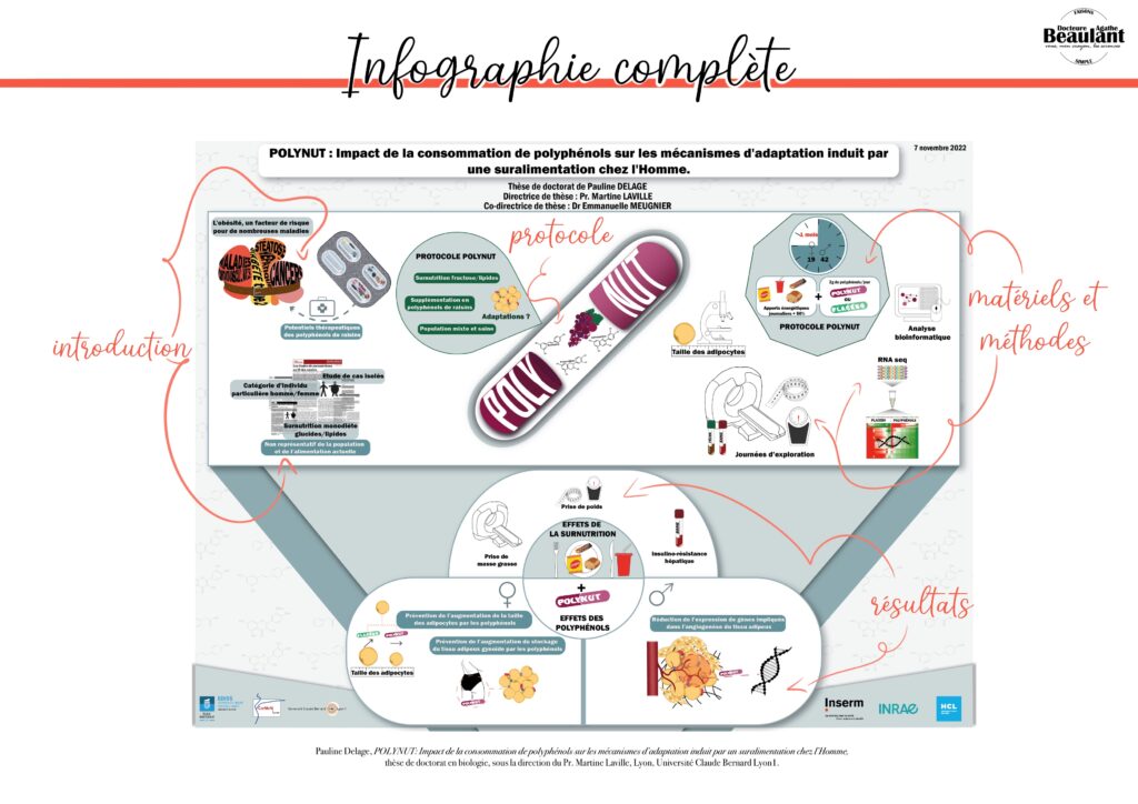 Infographie générale