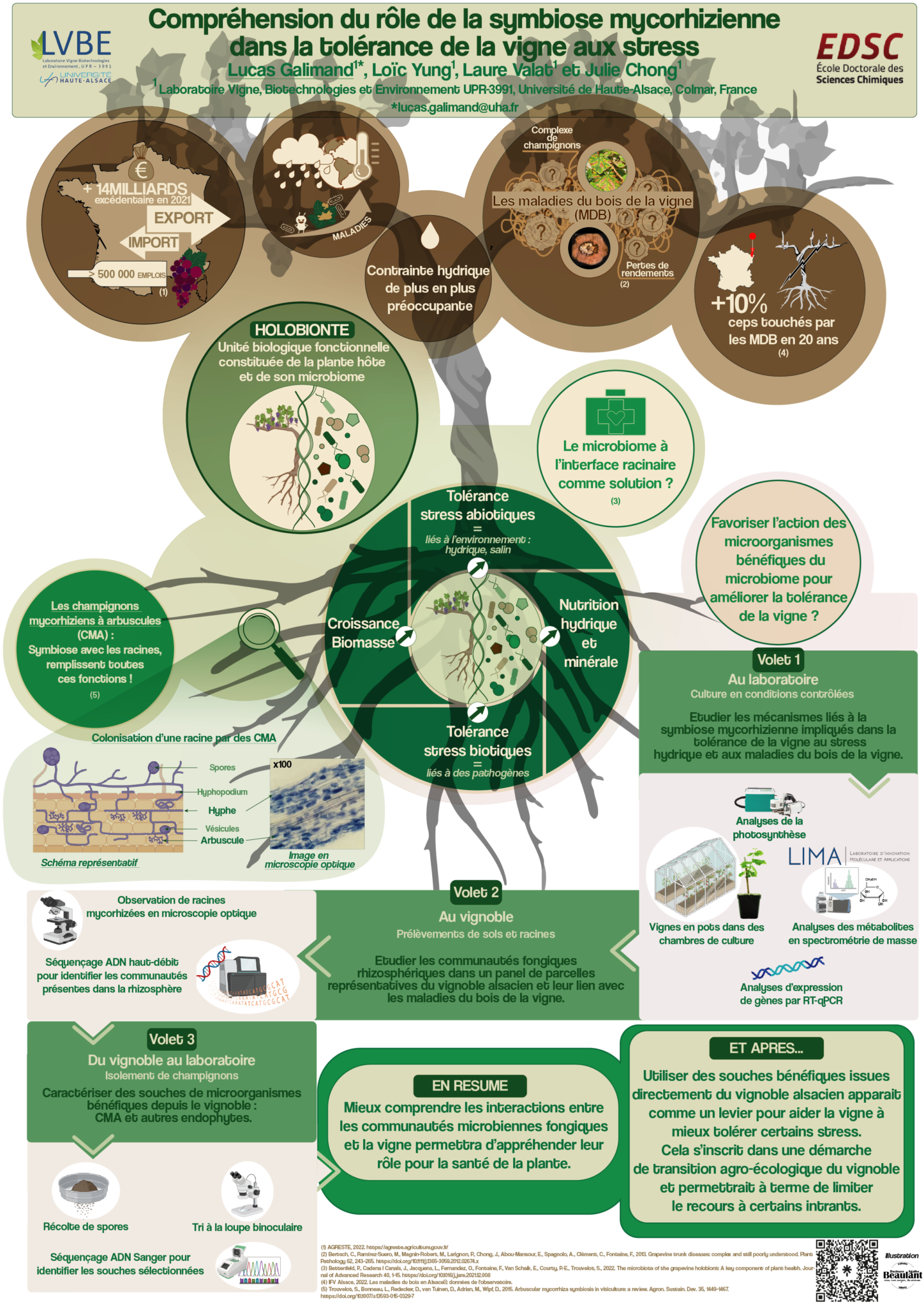 Infographie_Lucas_Galimand