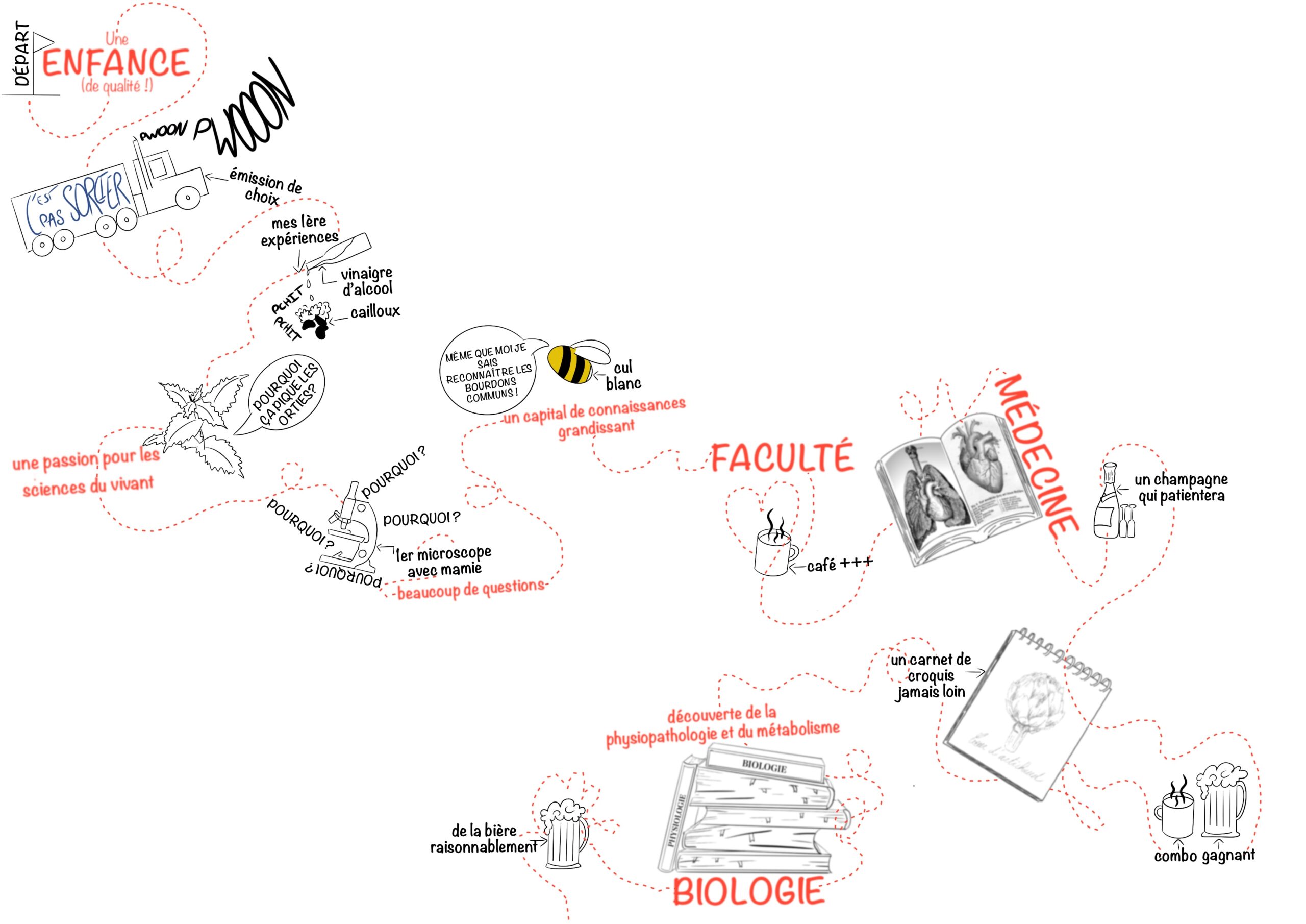 vulgarisation et illustration scientifique bande dessinée d'un projet de physiologie, métabolisme nutrition, mitochondria associated membranes MAMs Obésité foie Docteure Agathe Beaulant