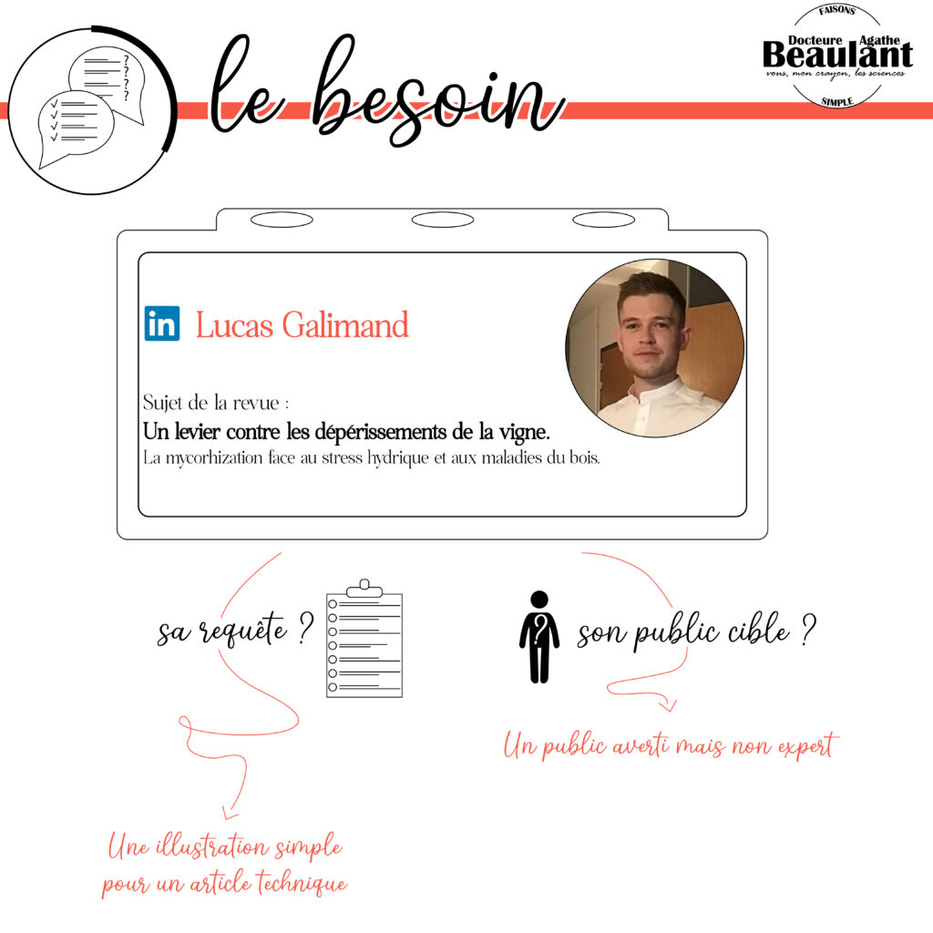 Vulgarisation scientifique sous forme d'infographie poster sur la compréhension de la symbiose mycorhizienne dans la stress de la vigne