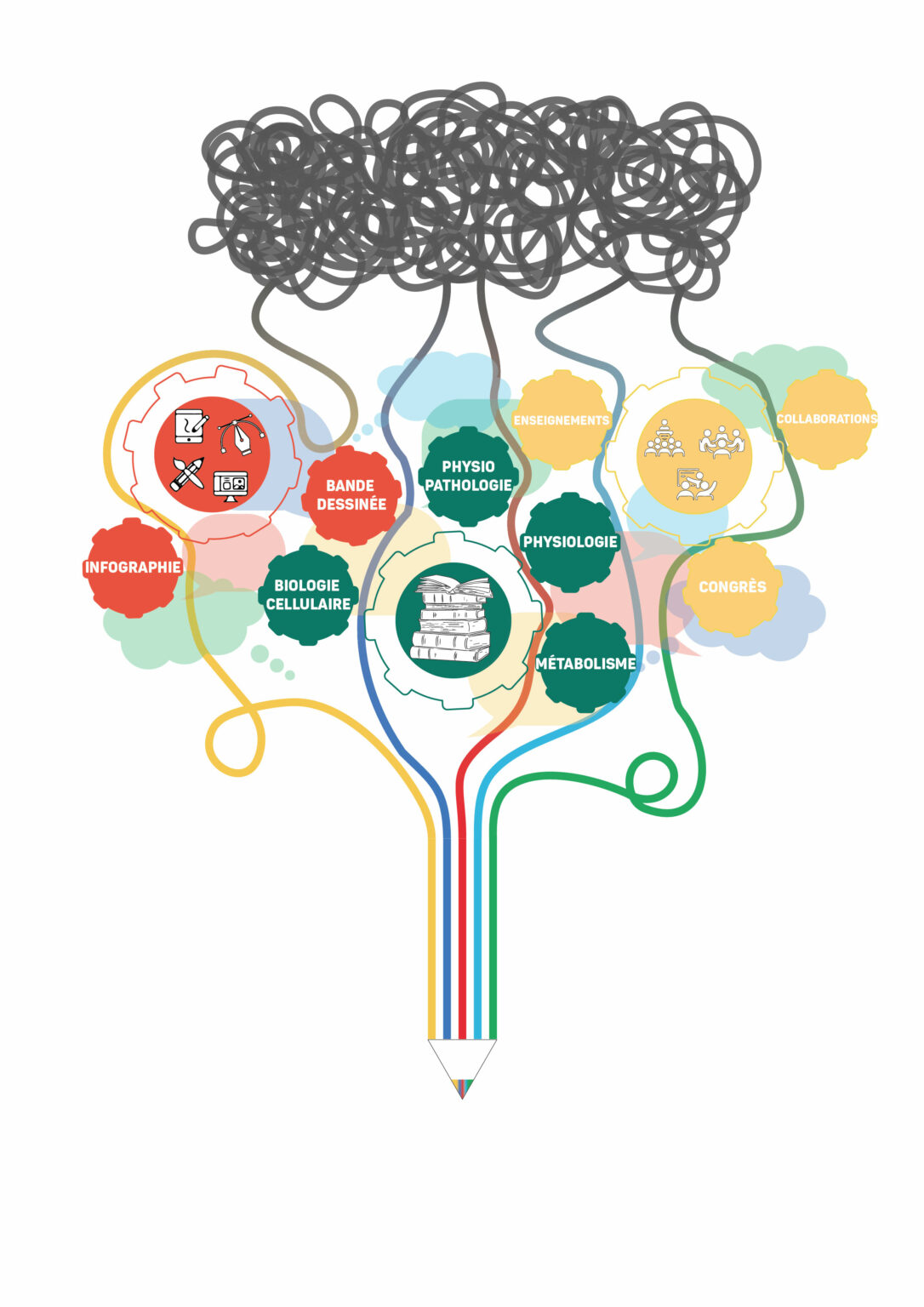 Docteure Agathe Beaulant illustration et vulgarisation scientifique physiologie métabolisme obésité diabète de type 2 foie